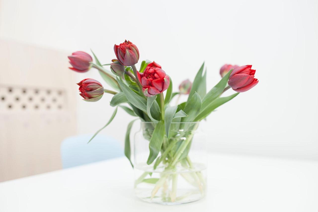 Hip & Stylisch B&B Amsterdam Buitenkant foto